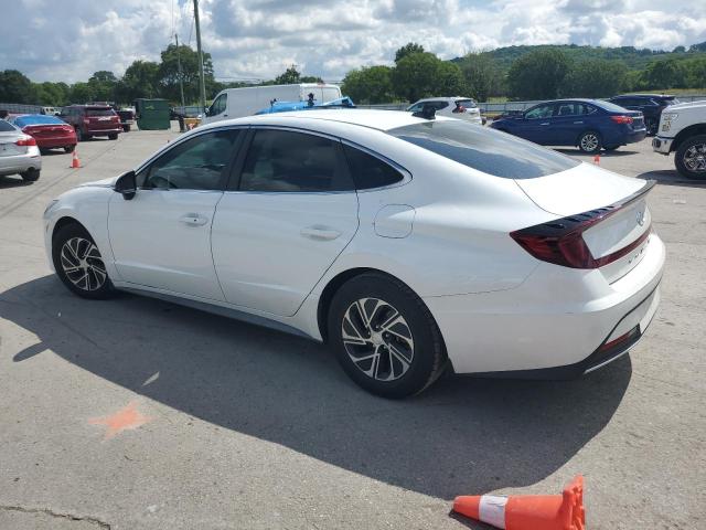 2021 HYUNDAI SONATA HYB KMHL24JJXMA030141