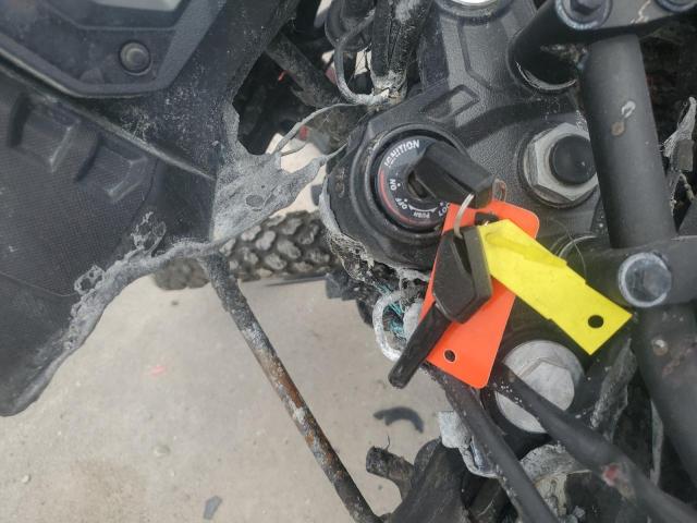 2024 KAWASAKI KL650 M #3291624246