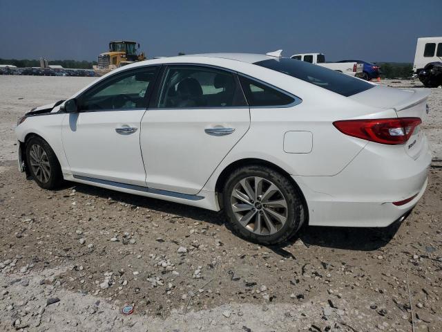 2017 HYUNDAI SONATA SPO - 5NPE34AFXHH457078