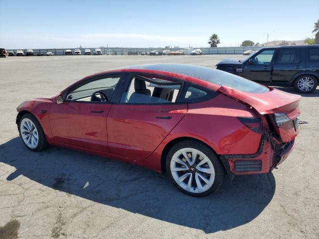 2023 TESLA MODEL 3 5YJ3E1EA3PF454941