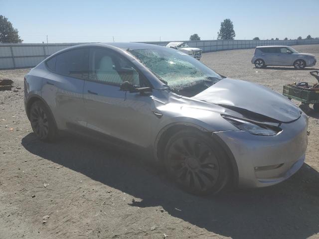 2024 TESLA MODEL Y 7SAYGDEF2RF182935
