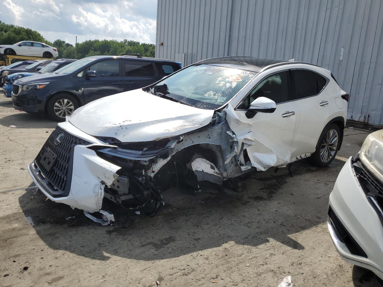 LEXUS NX 350H BASE