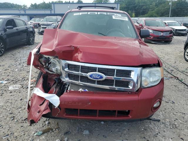 2011 FORD ESCAPE XLT - 1FMCU0DG5BKB97534