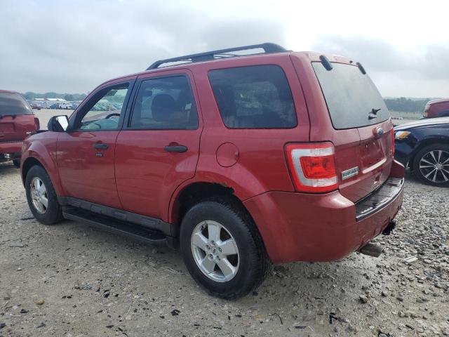 2011 FORD ESCAPE XLT - 1FMCU0DG5BKB97534