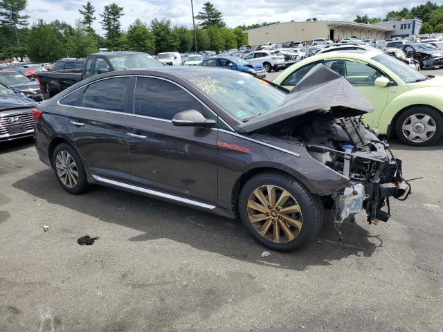 2016 HYUNDAI SONATA SPO 5NPE34AF4GH431610