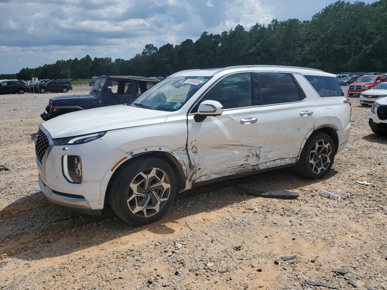 HYUNDAI PALISADE CALLIGRAPHY