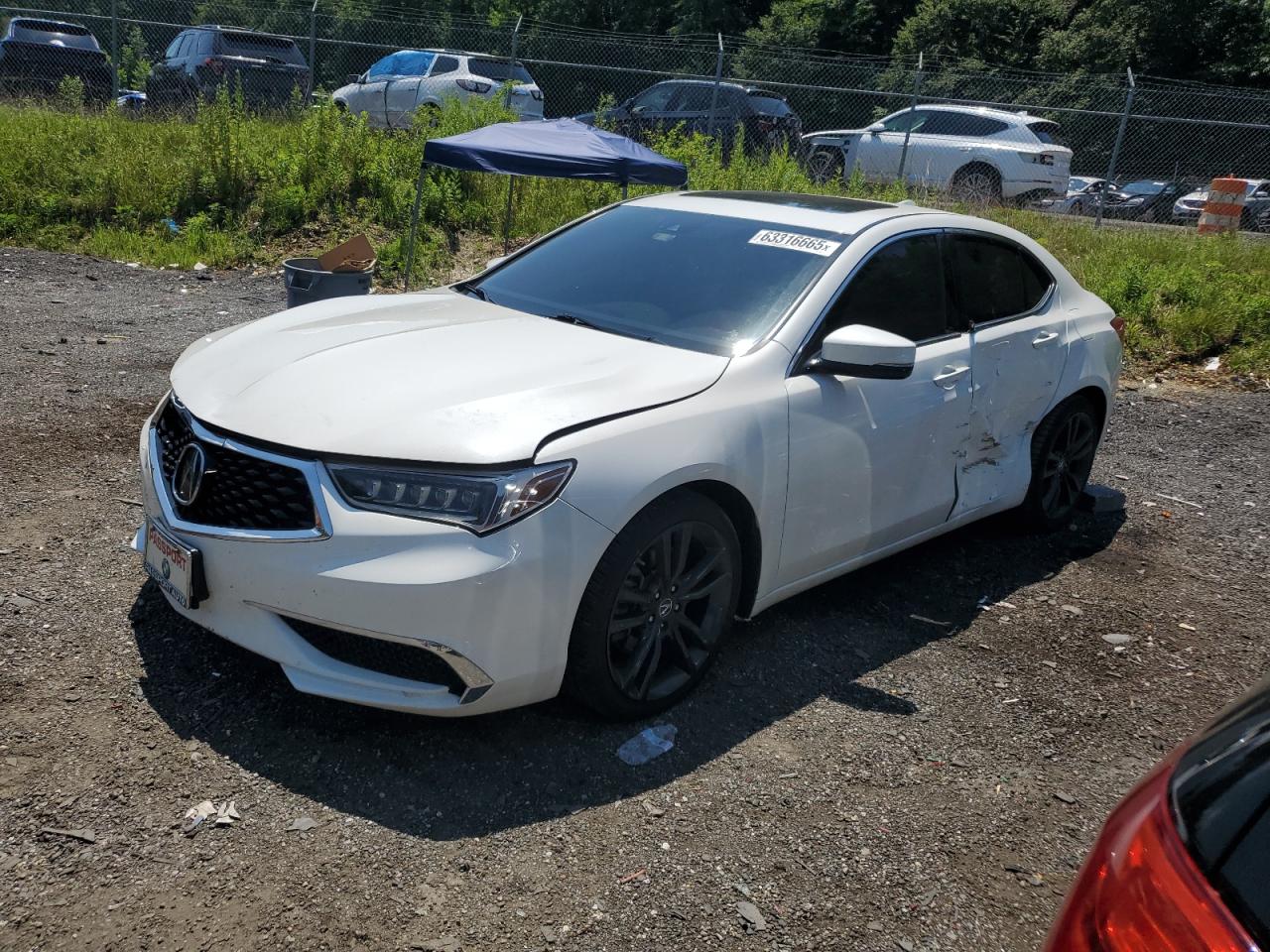 ACURA TLX TECH