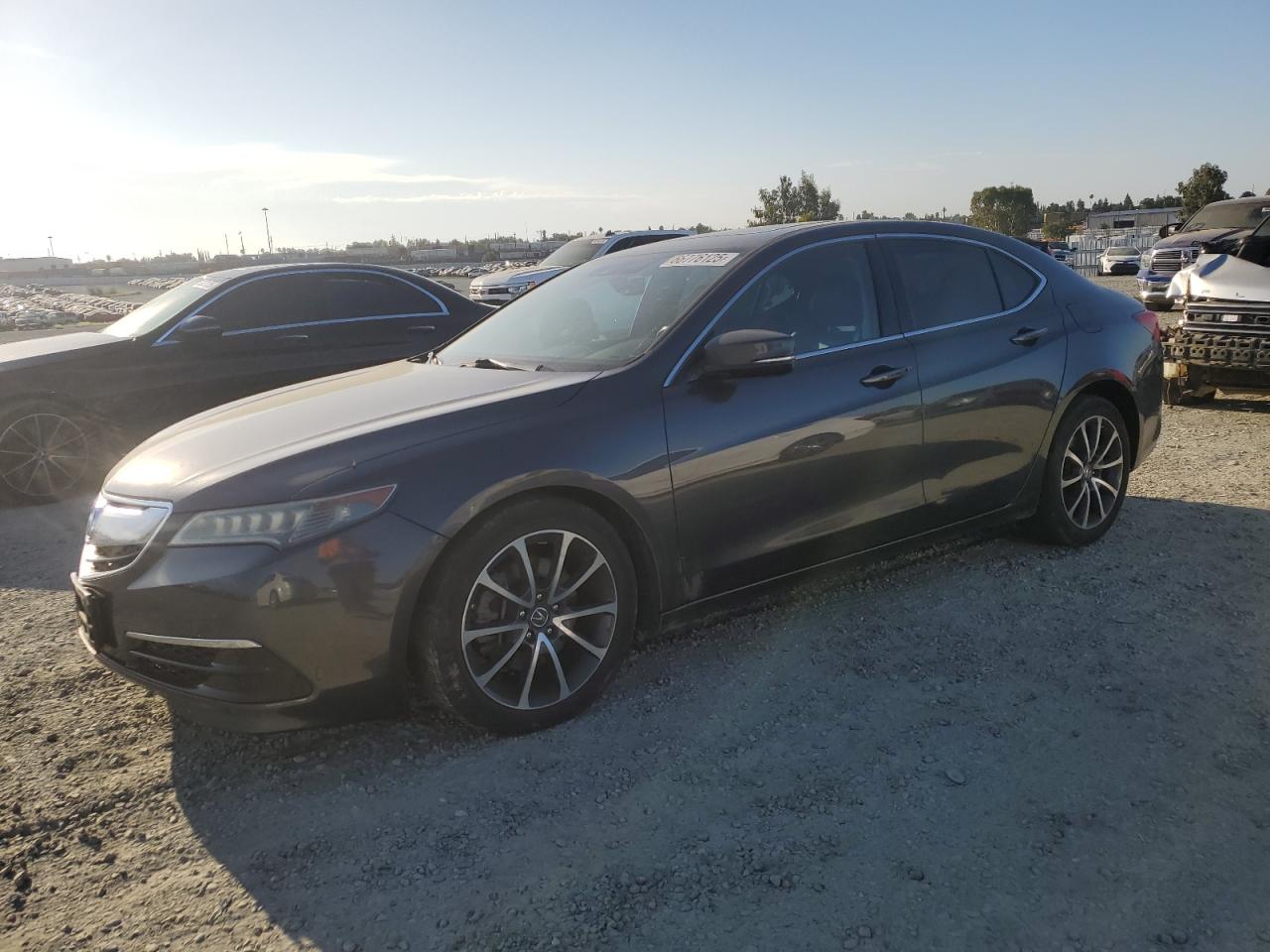ACURA TLX TECH