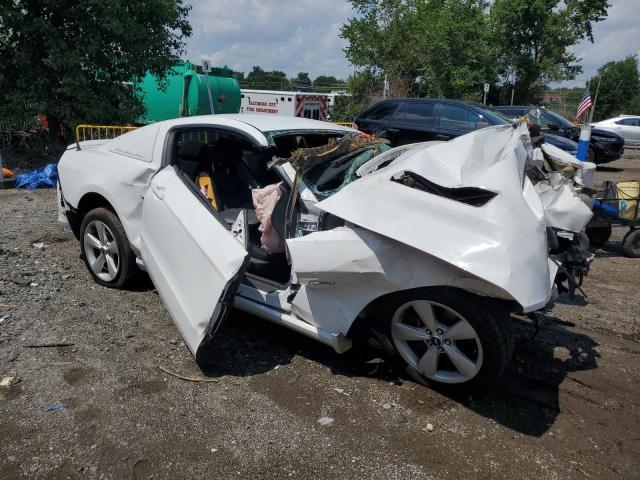 2014 FORD MUSTANG GT - 1ZVBP8CF9E5325577