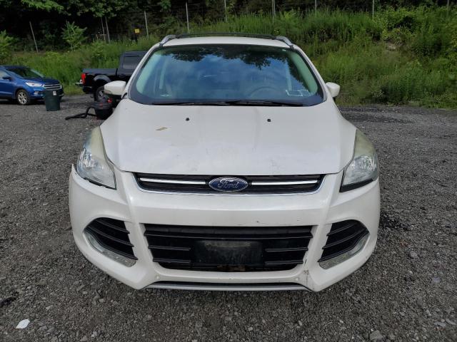 2016 FORD ESCAPE TIT - 1FMCU9J92GUA58483