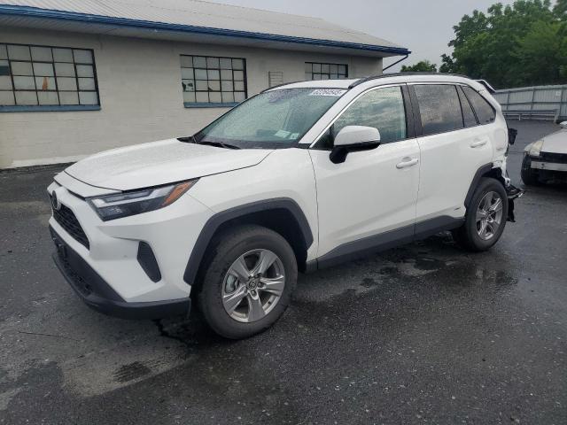 Vin: 2t3rwrfv5sw284236, lot: 62264545, toyota rav4 xle 2025 img_1