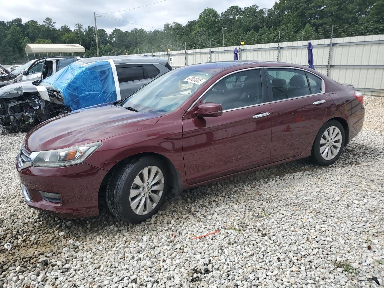 HONDA ACCORD EXL