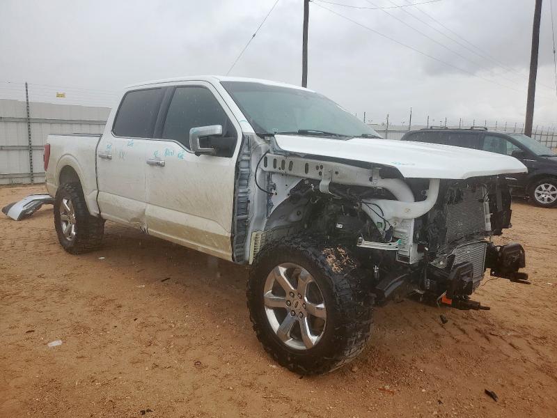 2022 FORD F150 SUPERCREW 1FTFW1E83NFB81094