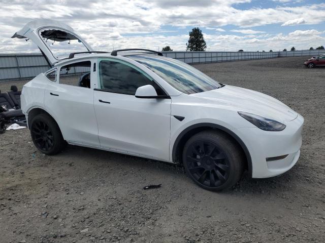 2025 TESLA MODEL Y 7SAYGAEE0SF295973