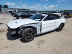 2021 FORD MUSTANG - 1FATP8UH4M5106165