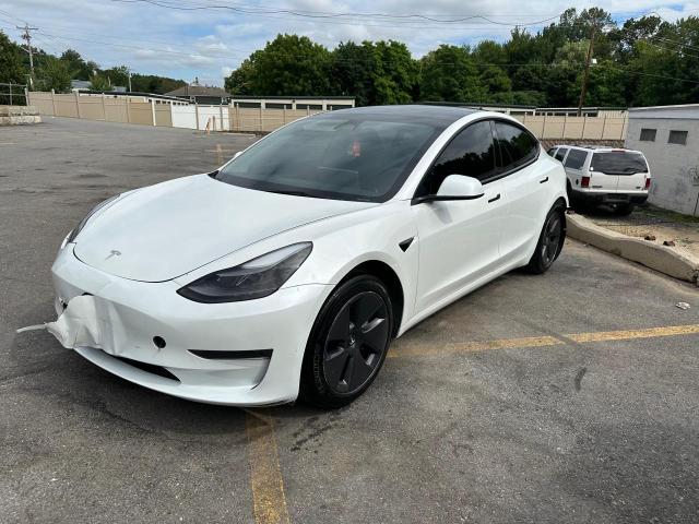 Vin: 5yj3e1ea4pf553624, lot: 64203215, tesla model 3 2023 img_1