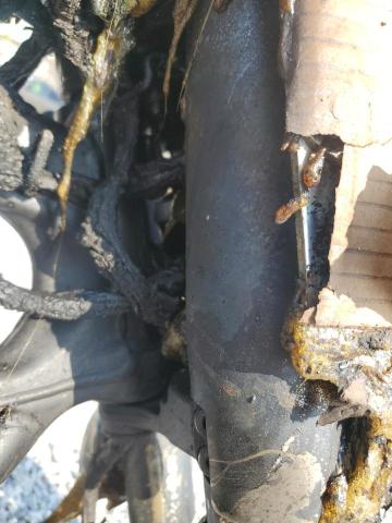 2012 YAMAHA XVS950 A JYAVN01E1CA015599