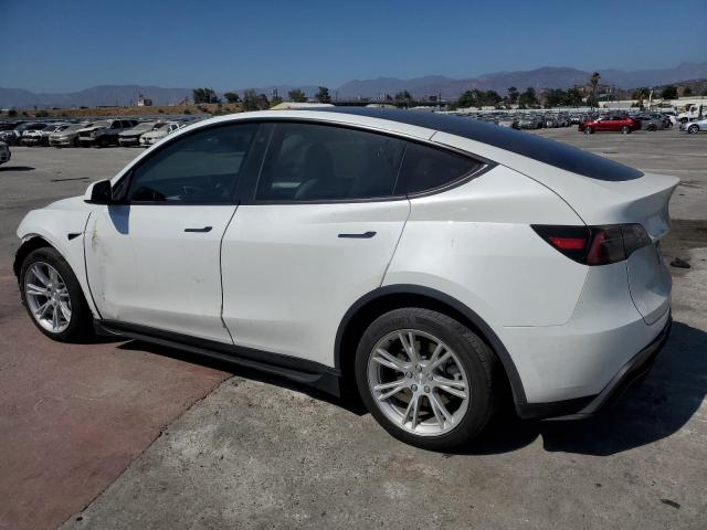 2023 TESLA MODEL Y - 7SAYGDEE6PF624832