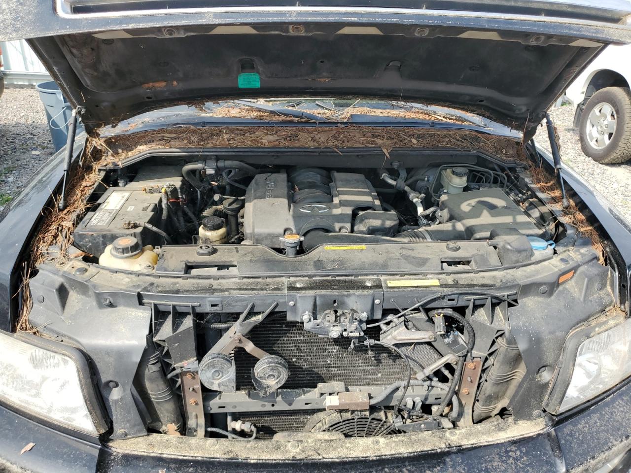 Infiniti Qx56 2006