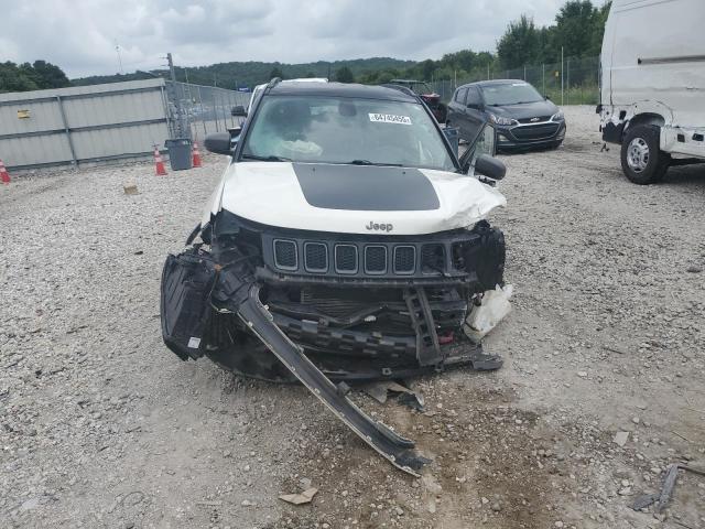 2019 JEEP COMPASS TR 3C4NJDDB1KT781333