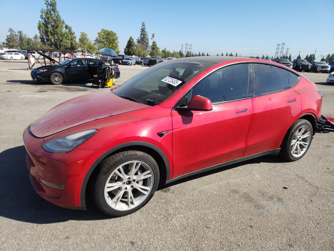 Lot #3287346983 2021 TESLA MODEL Y