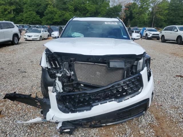 2025 KIA CADENZA EX 5XYP5DGCXSG566669