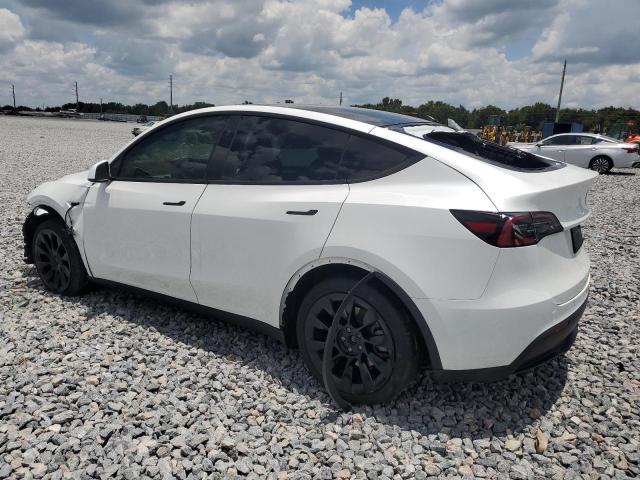 2024 TESLA MODEL Y 7SAYGDED3RF008242