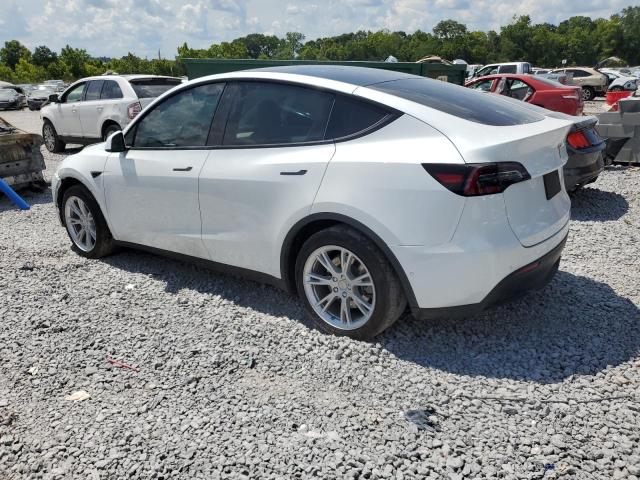 2020 TESLA MODEL Y 5YJYGDEE1LF032858