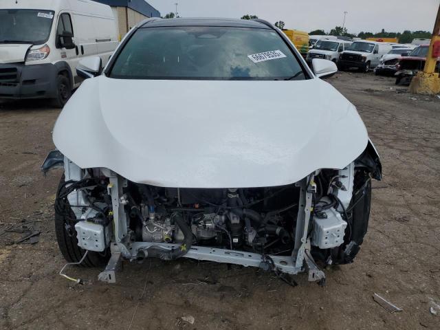 2024 LEXUS NX 350 LUX 2T2HGCEZ2RC034351