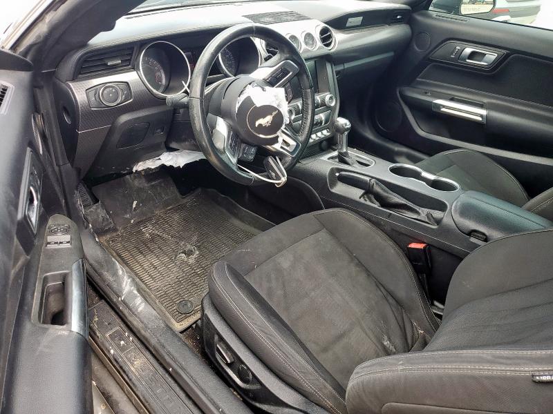 2019 FORD MUSTANG 1FA6P8TH7K5134067