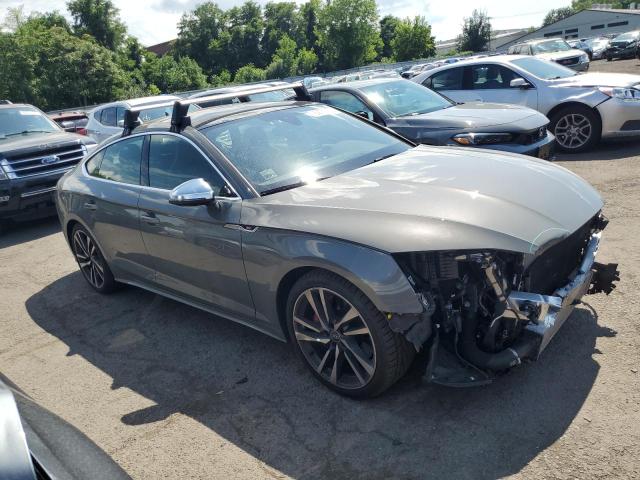 2023 AUDI S5 PREMIUM WAUC4DF50PA008659