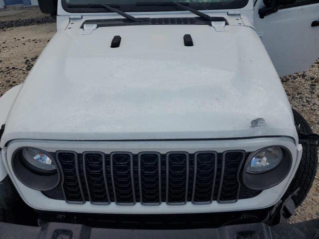 2024 JEEP GLADIATOR 1C6JJTAG8RL133574