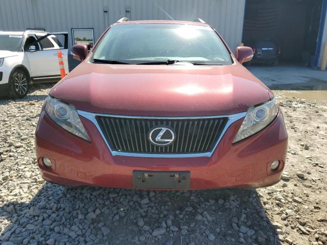 2010 LEXUS RX 350 - 2T2BK1BA1AC064436