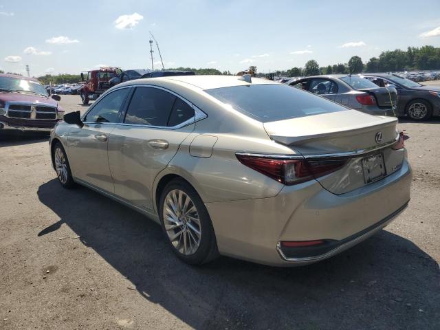 2021 LEXUS ES 300H UL 58AFA1C15MU002864