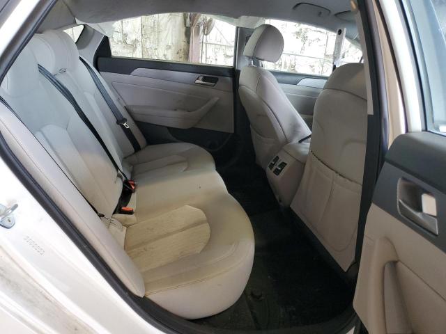 2019 HYUNDAI SONATA PLU - KMHE14L24KA093783