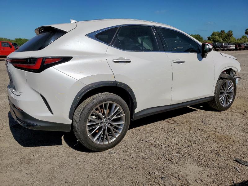 2022 LEXUS NX 350H 2T2GKCEZ9NC004056