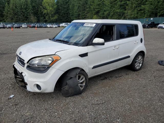 KIA SOUL +