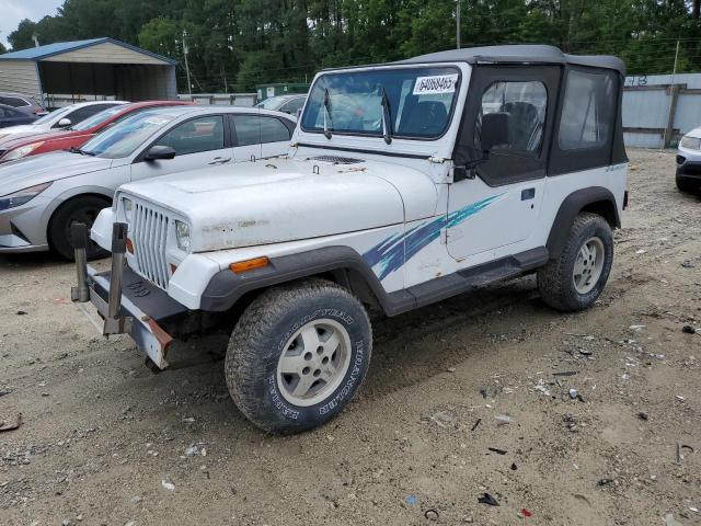 Vin: 1j4fy29s9pp201801, lot: 64068465, jeep wrangler 1993 img_1