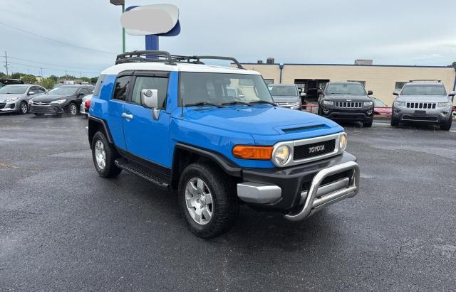 TOYOTA FJ CRUISER 2007 blue 4dr spor gas JTEBU11F670010091 photo #1