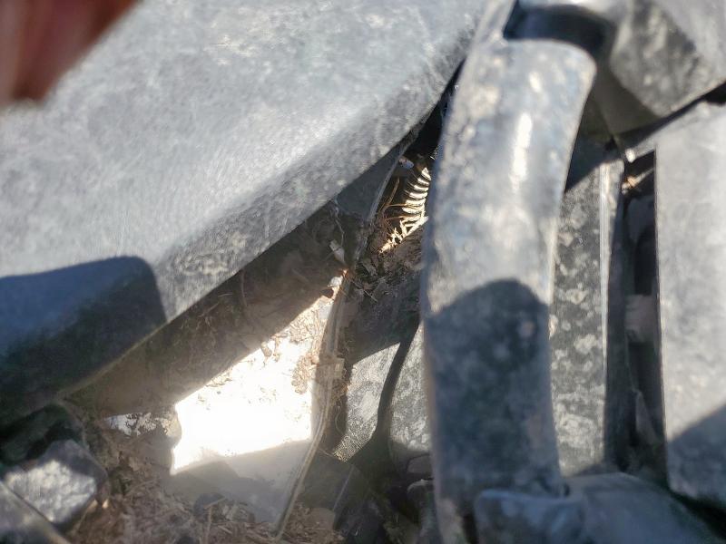 2021 TOYOTA TACOMA DOU 5TFCZ5AN7MX246082