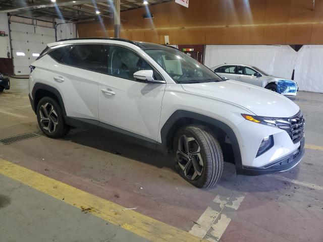 2024 HYUNDAI TUCSON LIM - 5NMJECDE1RH388401