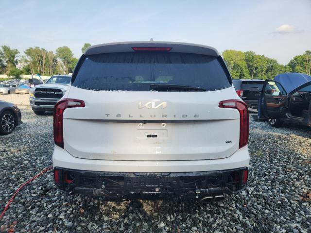 2024 KIA TELLURIDE 5XYP6DGC1RG495594