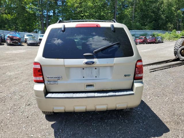 2011 FORD ESCAPE XLT - 1FMCU9DG8BKB99556