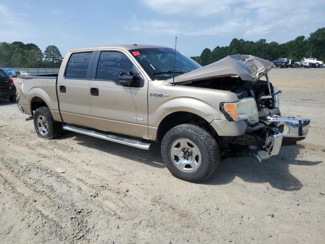 Vin: 1ftfw1et2dke96415, lot: 63535165, ford f-150 supercrew 20134