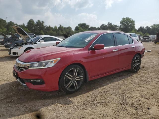 HONDA ACCORD SPO