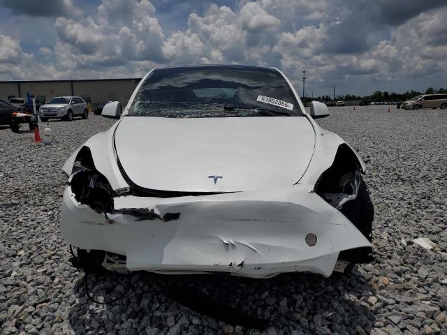 2024 TESLA MODEL Y 7SAYGDED3RF008242