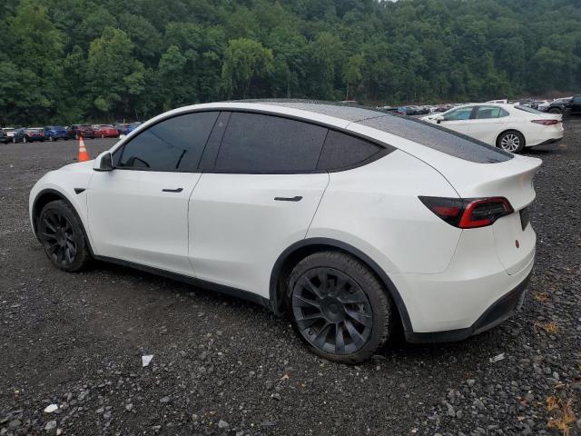 2021 TESLA MODEL Y 5YJYGDEE9MF184694