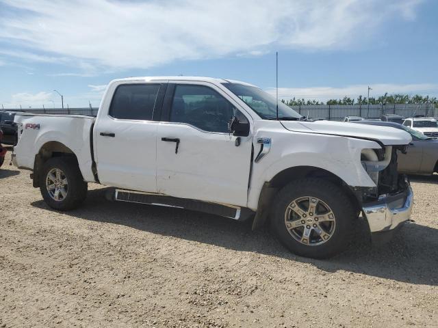 Vin: 1ftfw1e85pke88244, lot: 62815525, ford f-150 supercrew 20234