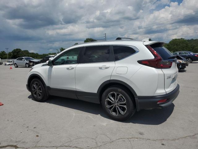 2022 HONDA CR-V EXL 7FARW2H84NE040803