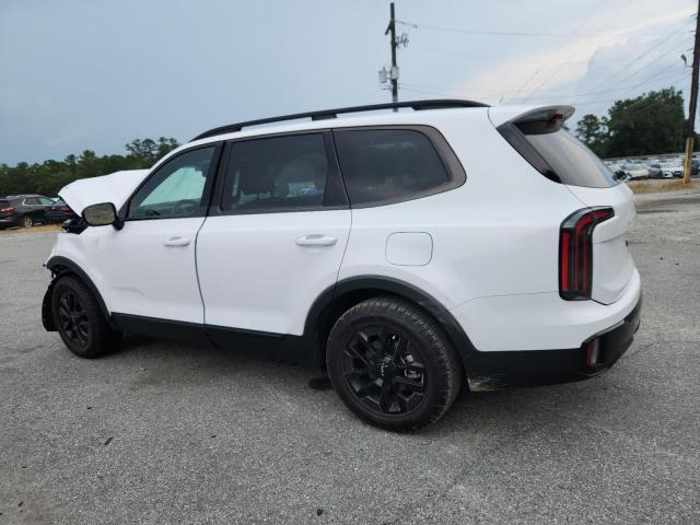 2024 KIA TELLURIDE 5XYP5DGC6RG553511